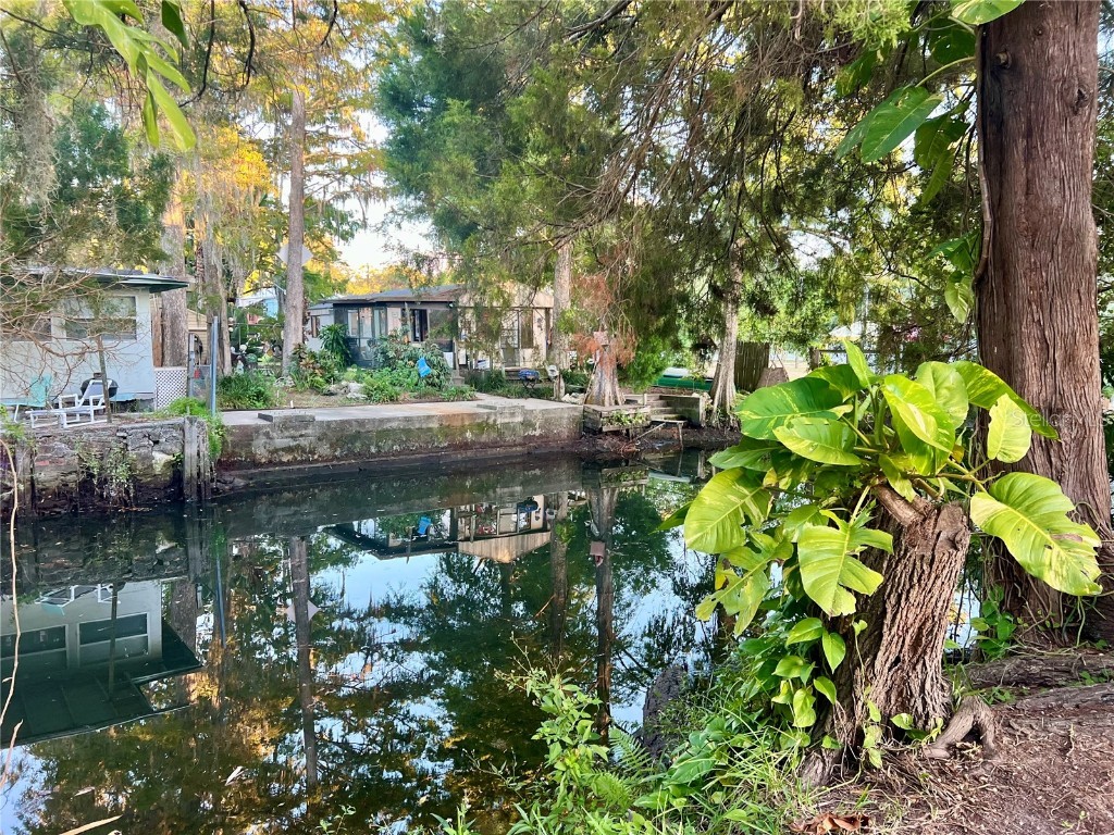 7165 Algonquin Street Weeki Wachee FL 34607 TB8441290 image6