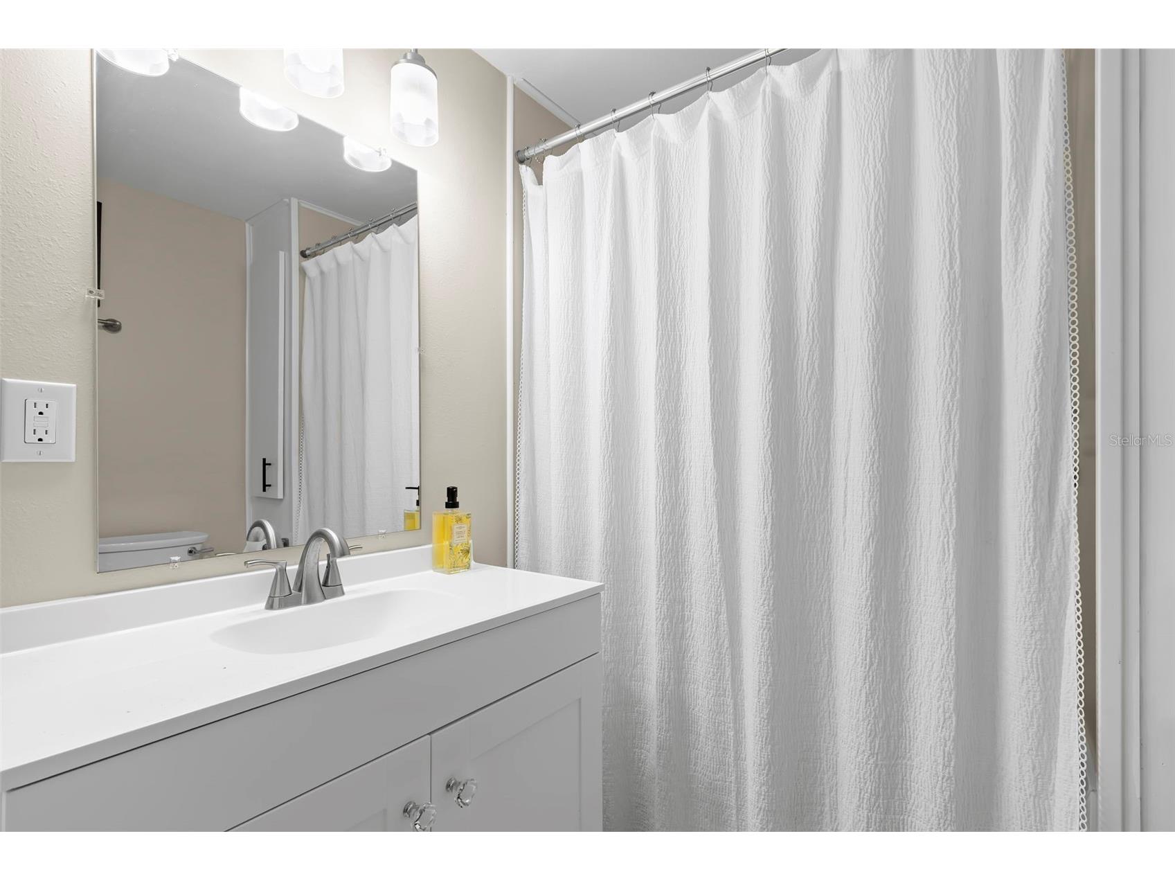 7165 Mount Georgetown Drive NE #571 Saint Petersburg FL 33702 - TAMPA BAY TB8528511 image30