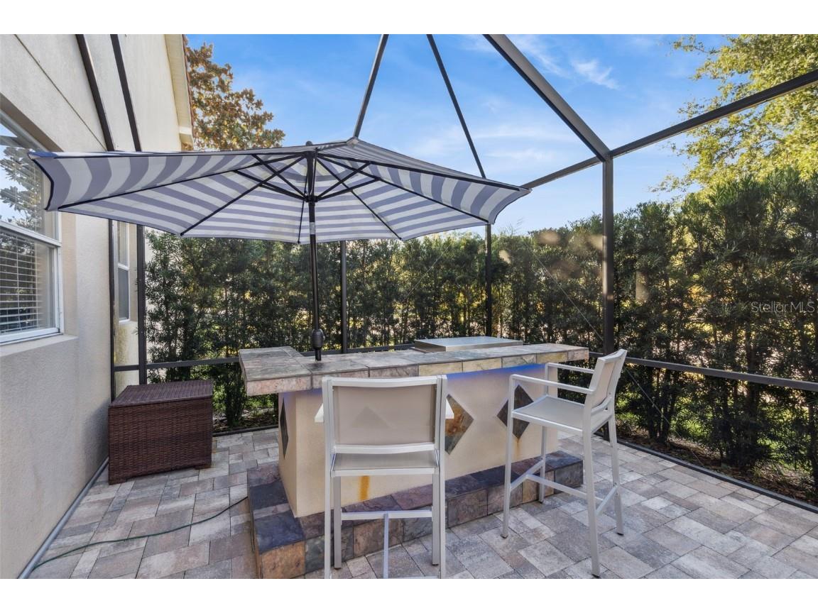 7165 Ticklegrass Street Winter Garden FL 34787 O6360419 image5