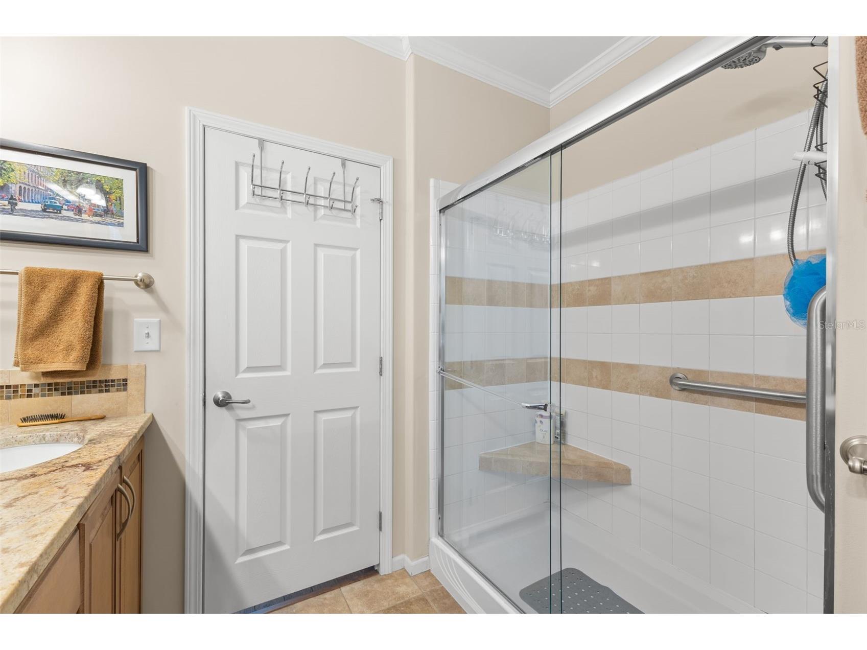 7166 Mount Arlington Drive NE #418 Saint Petersburg FL 33702 - TAMPA BAY TB8475158 image25