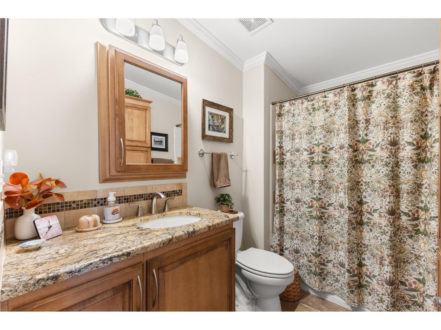 7166 Mount Arlington Drive NE #418 Saint Petersburg FL 33702 - TAMPA BAY TB8475158 image27