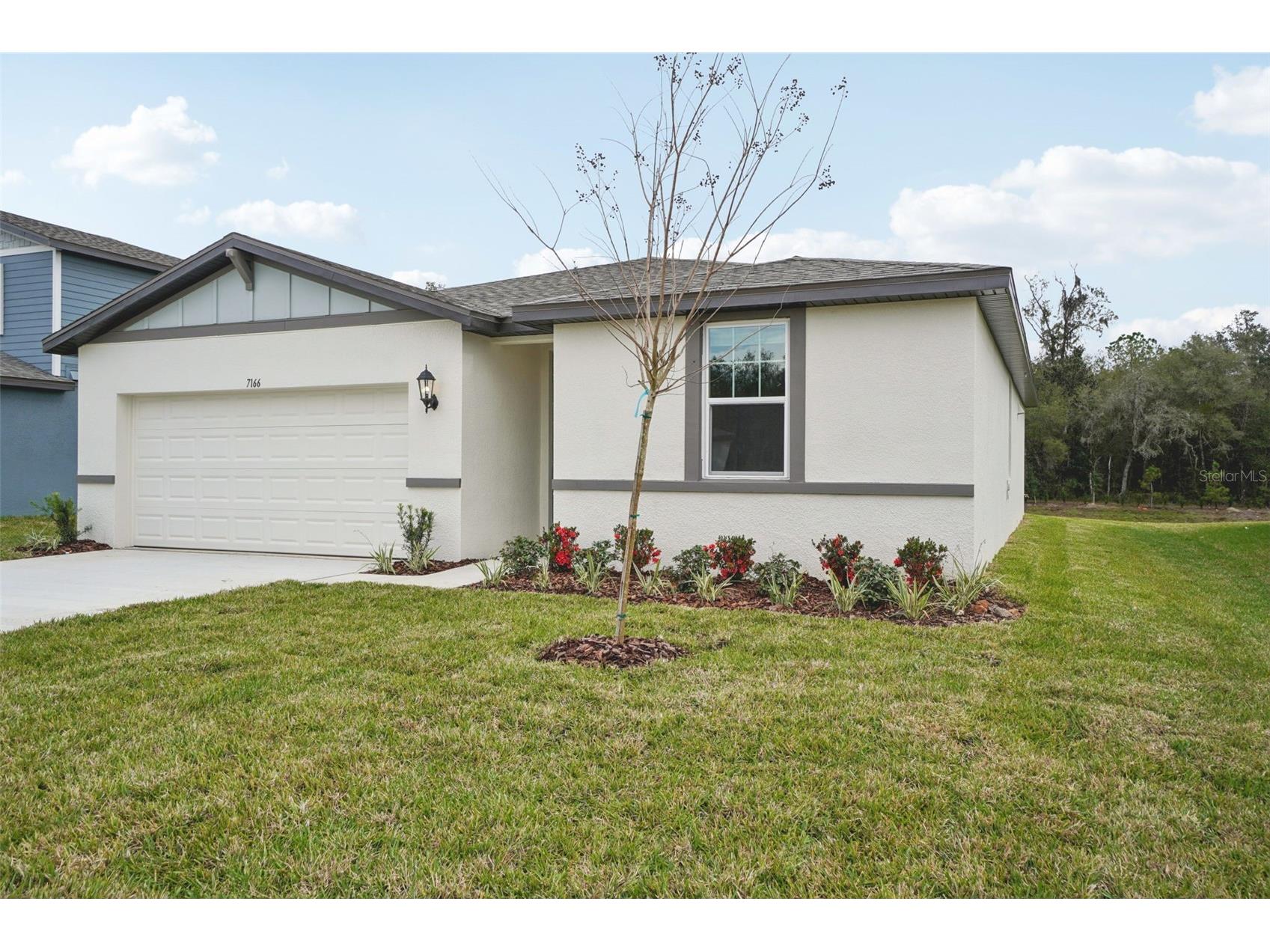7166 Ray Creek Drive Brooksville FL 34601 O6358482 image3