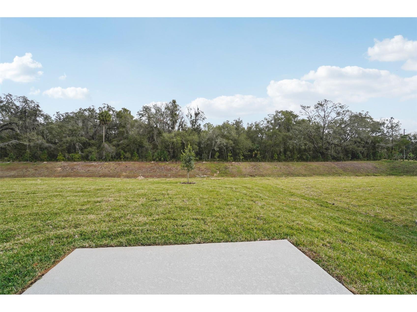 7166 Ray Creek Drive Brooksville FL 34601 O6358482 image36