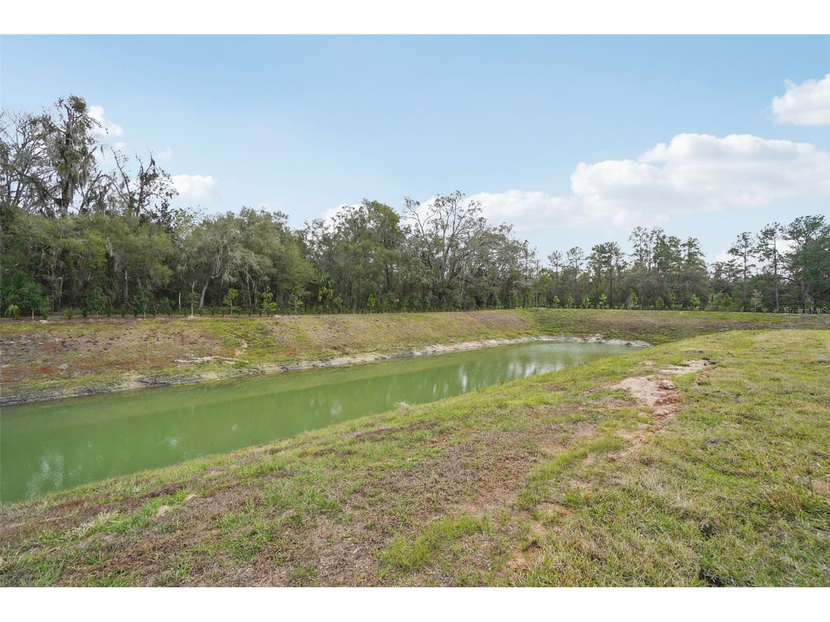 7166 Ray Creek Drive Brooksville FL 34601 O6358482 image38