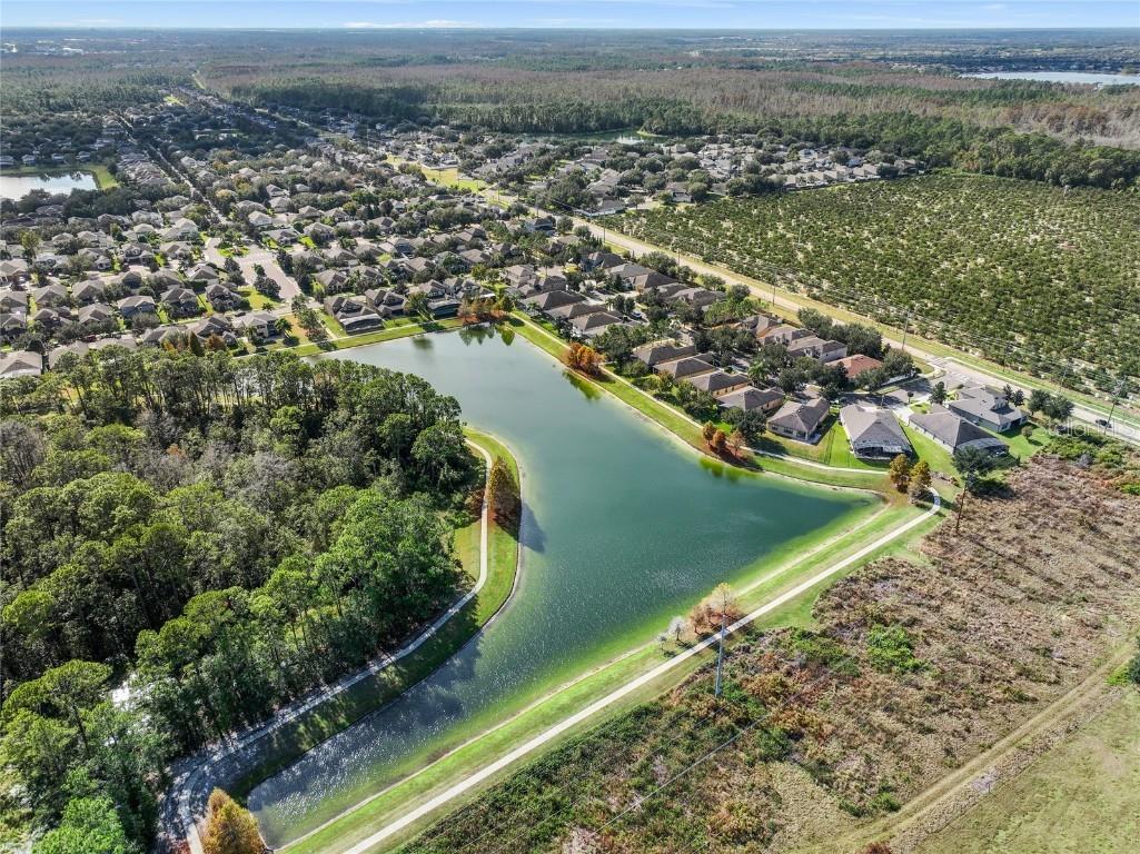 7167 Beek Street Windermere FL 34786 O6364480 image68