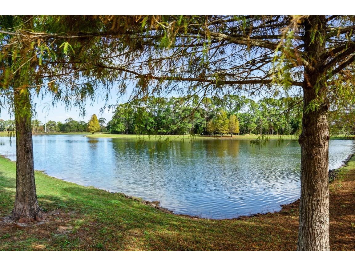 7167 Beek Street Windermere FL 34786 O6364480 image8