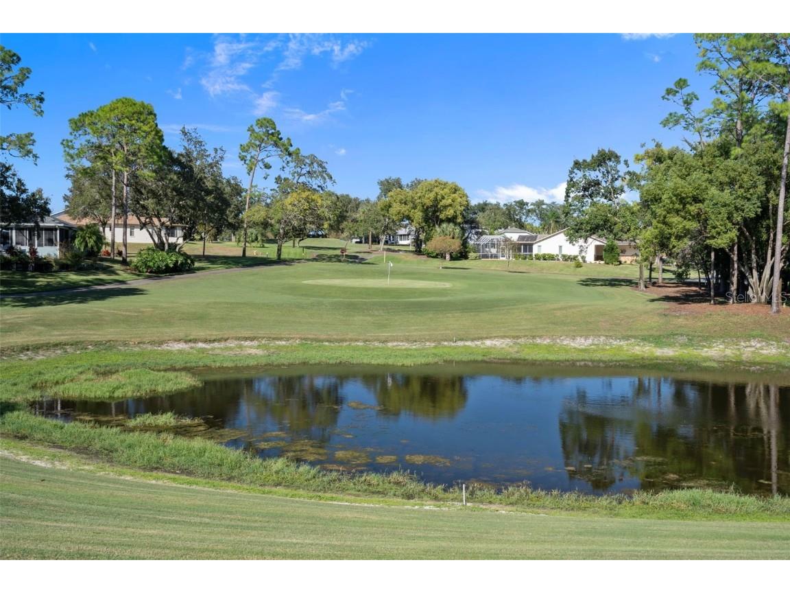 7167 Crown Oaks Drive Spring Hill FL 34606 TB8446705 image35