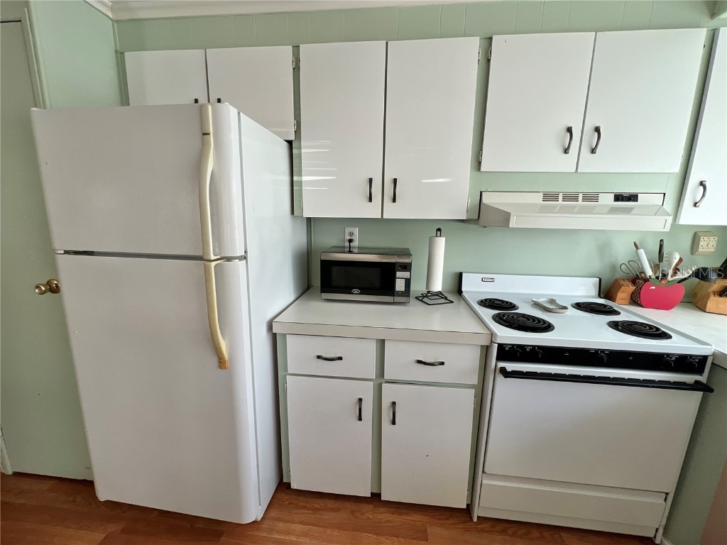 7167 Mount Hawthorne Road NE #591 Saint Petersburg FL 33702 - TAMPA BAY TB8353321 image10