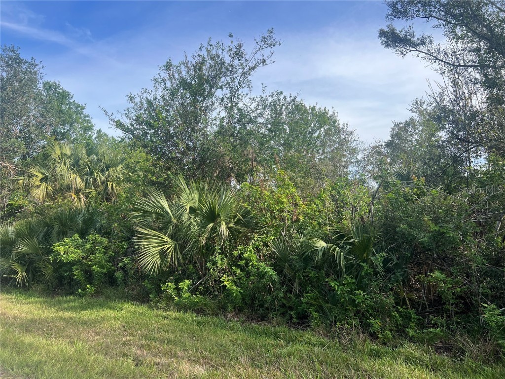 7168 Lippman Road Port Charlotte FL 33981 C7501865 image1