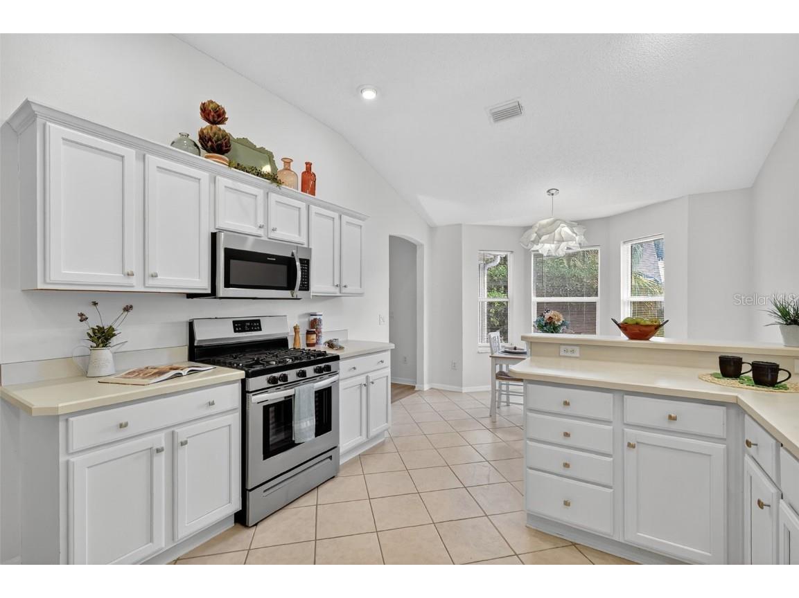 7168 SE 173rd Arlington Loop The Villages FL 32162 G5103916 image18