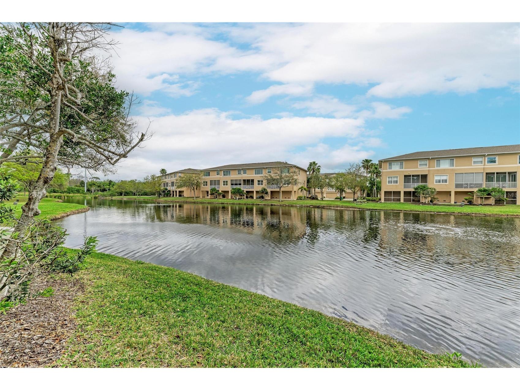 7169 Conch Boulevard Seminole FL 33777 TB8484141 image27