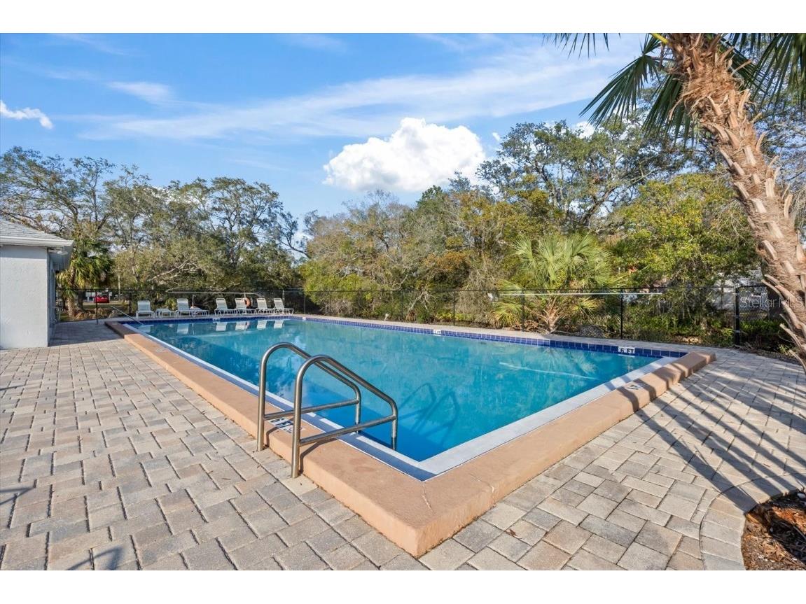 7169 E Bank Drive #7169 Tampa FL 33617 A4667527 image18