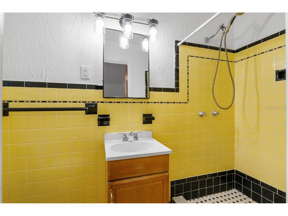 717 19th Avenue N Saint Petersburg FL 33704 TB8452797 image23