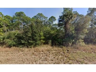 717 Brooklyn Loop Labelle FL 33935 G5082421 image1