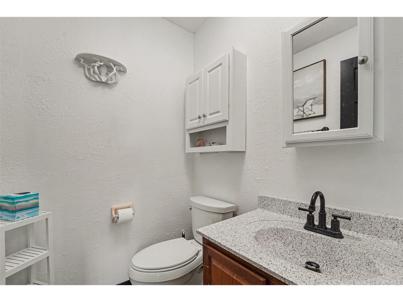 717 Camrose Drive Brandon FL 33510 TB8504526 image21
