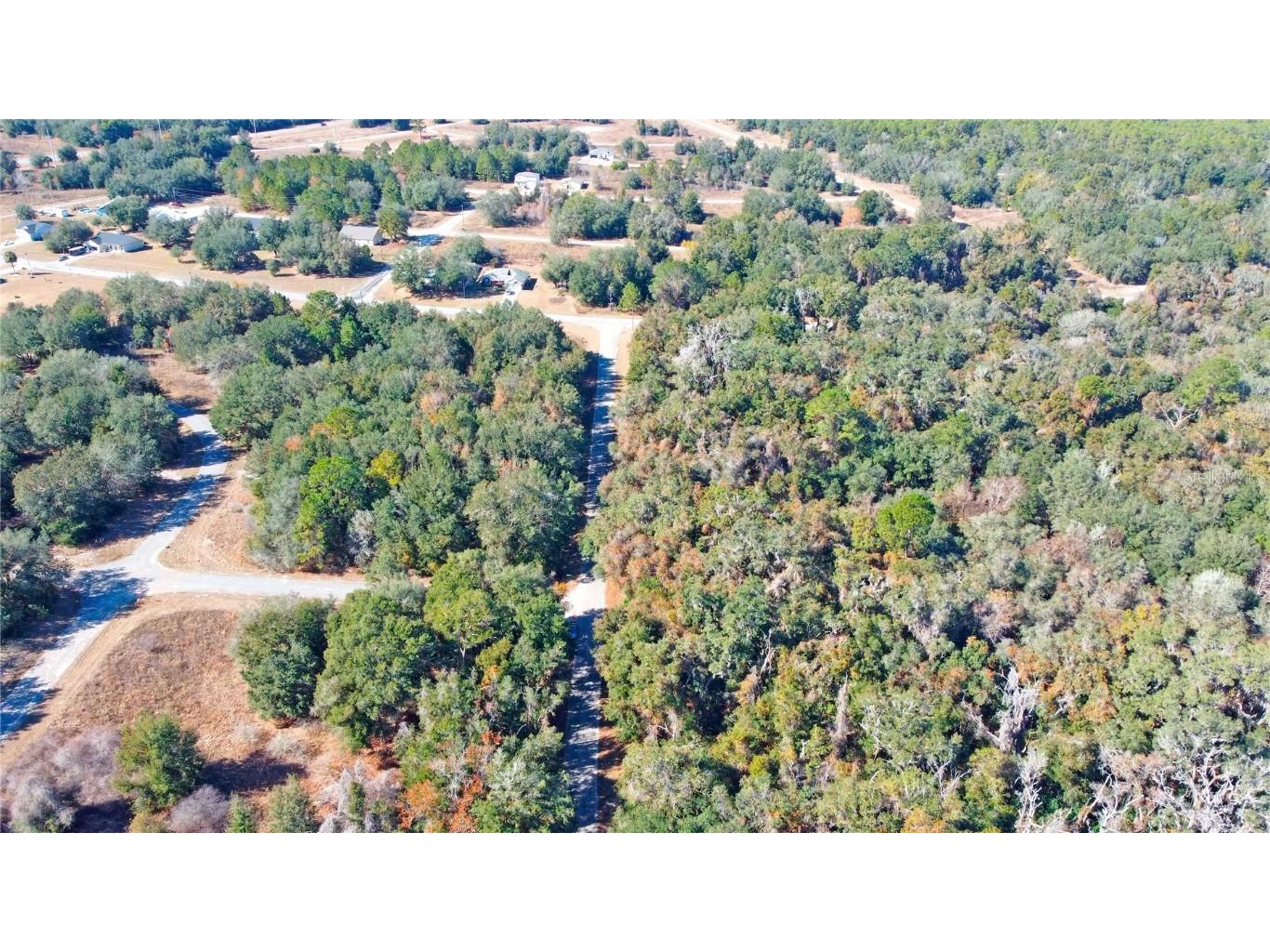 717 E Noah Lane Citrus Springs FL 34434 OK224727 image11