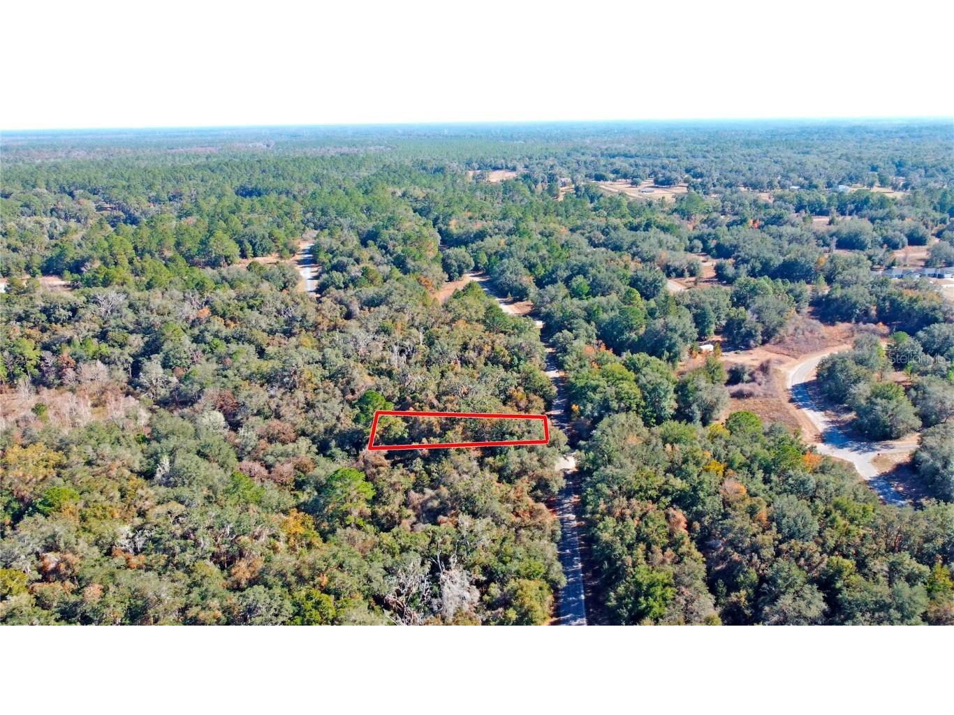 717 E Noah Lane Citrus Springs FL 34434 OK224727 image14