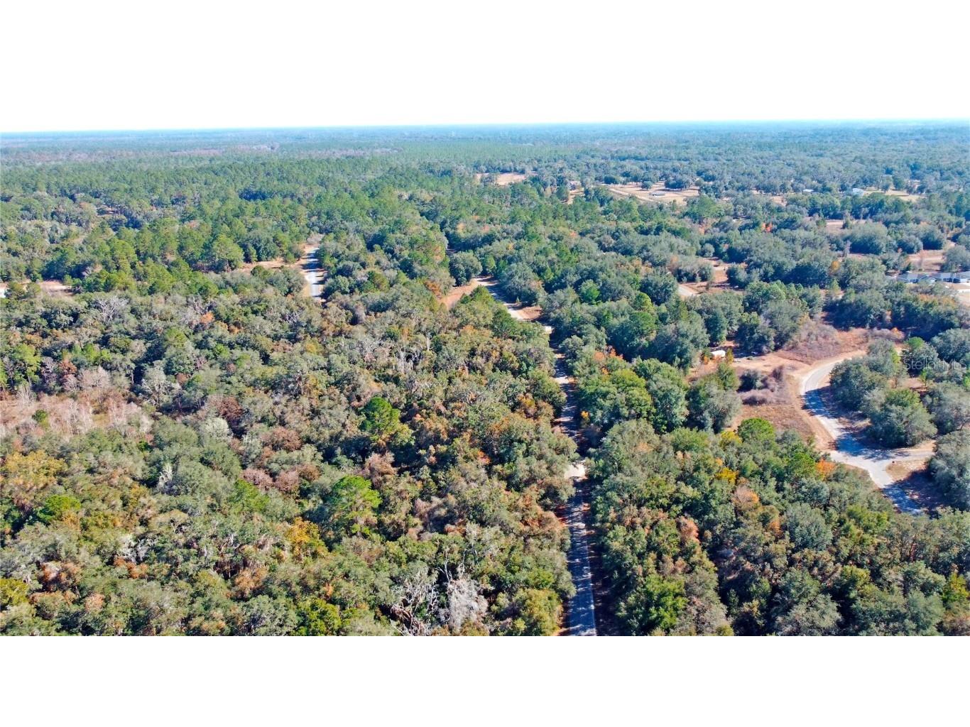 717 E Noah Lane Citrus Springs FL 34434 OK224727 image15