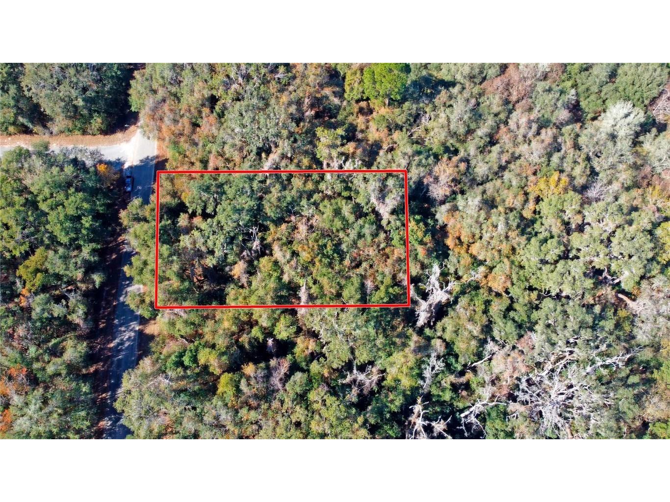 717 E Noah Lane Citrus Springs FL 34434 OK224727 image16