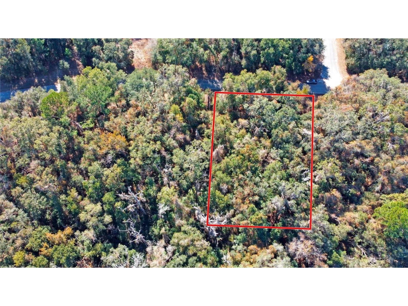 717 E Noah Lane Citrus Springs FL 34434 OK224727 image18