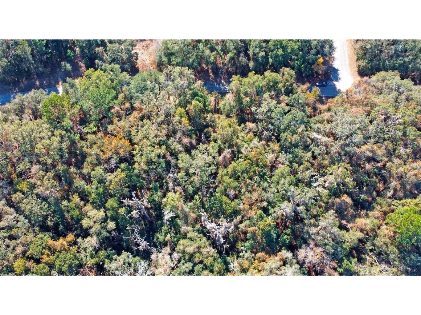 717 E Noah Lane Citrus Springs FL 34434 OK224727 image19