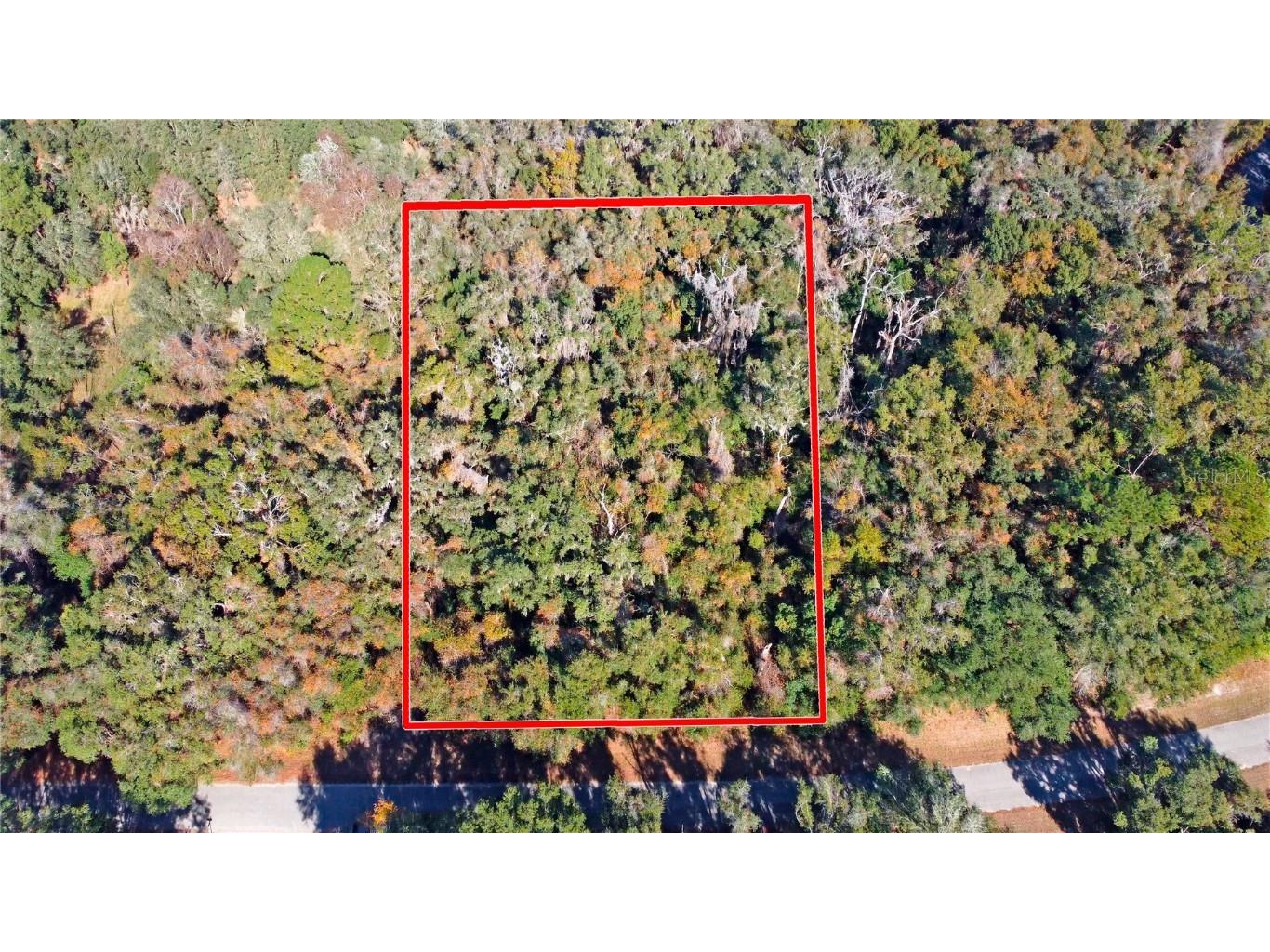 717 E Noah Lane Citrus Springs FL 34434 OK224727 image20