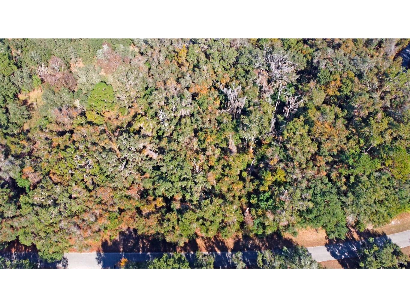 717 E Noah Lane Citrus Springs FL 34434 OK224727 image21