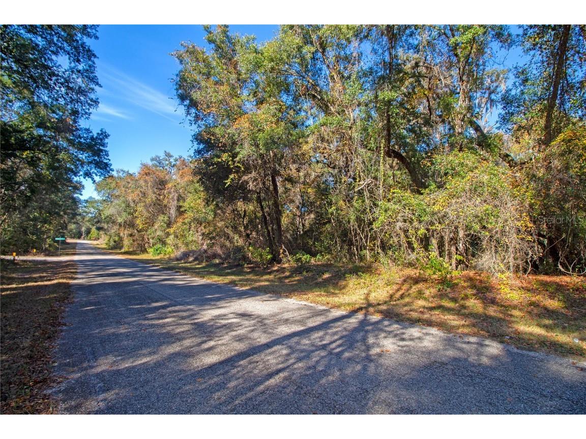 717 E Noah Lane Citrus Springs FL 34434 OK224727 image3