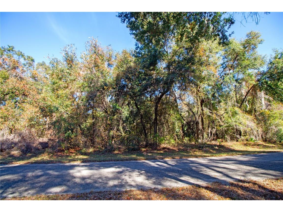 717 E Noah Lane Citrus Springs FL 34434 OK224727 image4