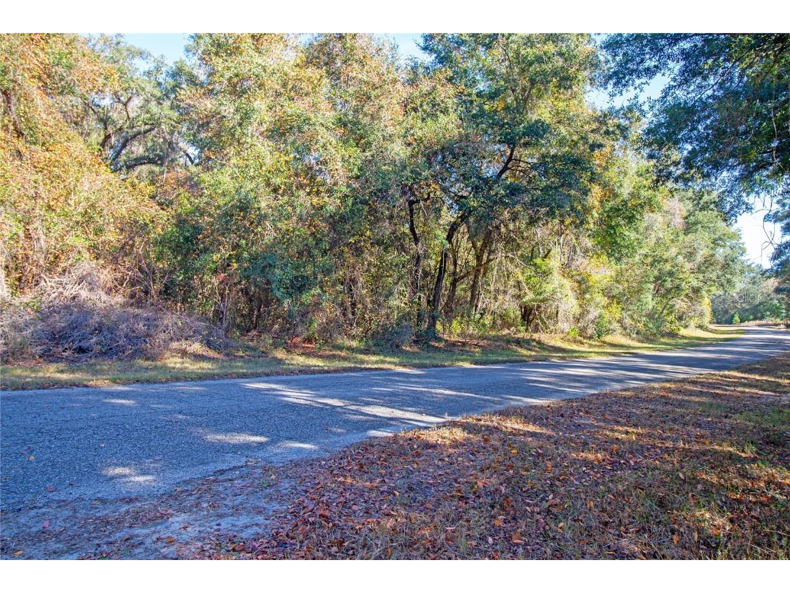 717 E Noah Lane Citrus Springs FL 34434 OK224727 image5