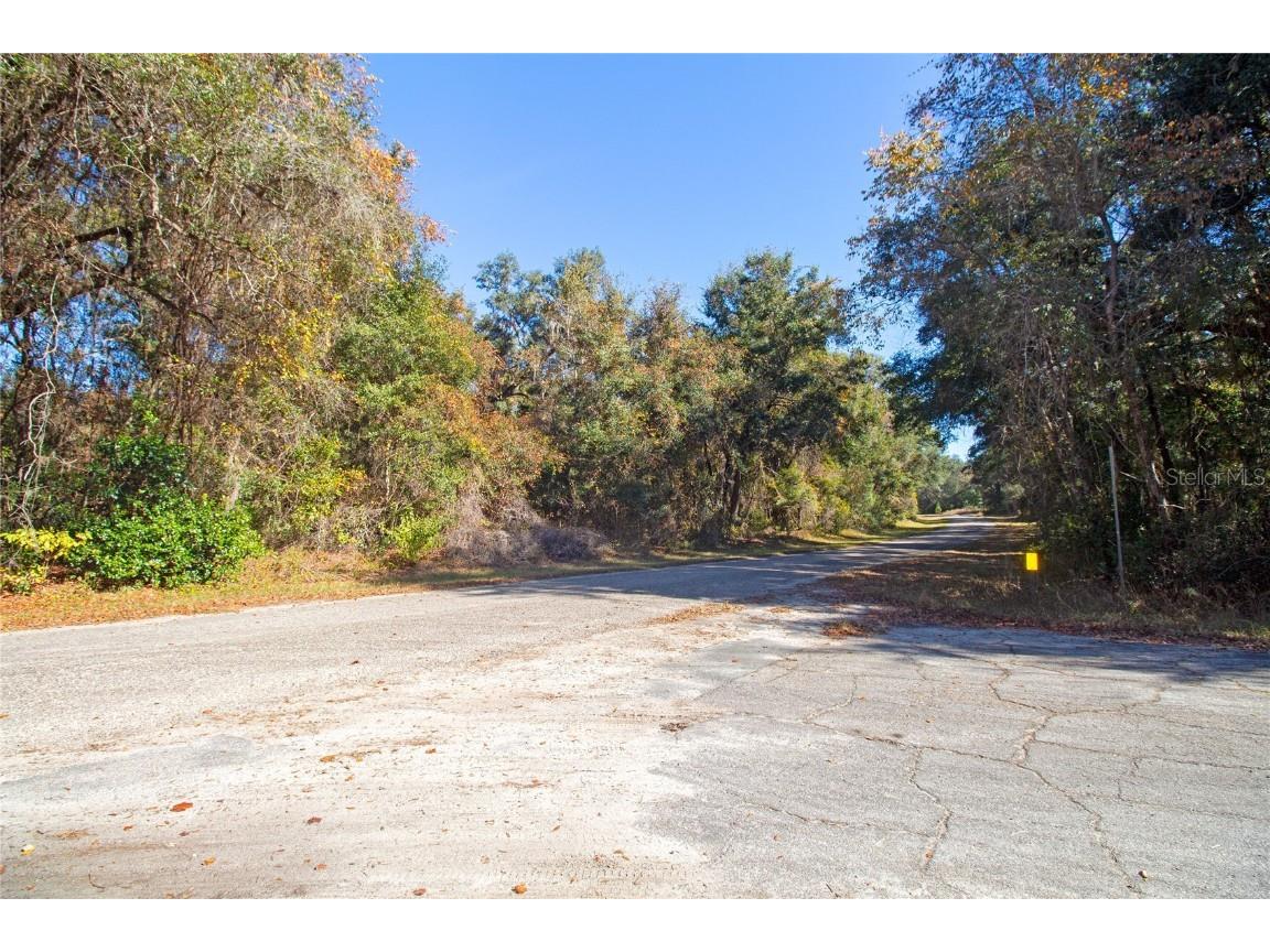 717 E Noah Lane Citrus Springs FL 34434 OK224727 image6