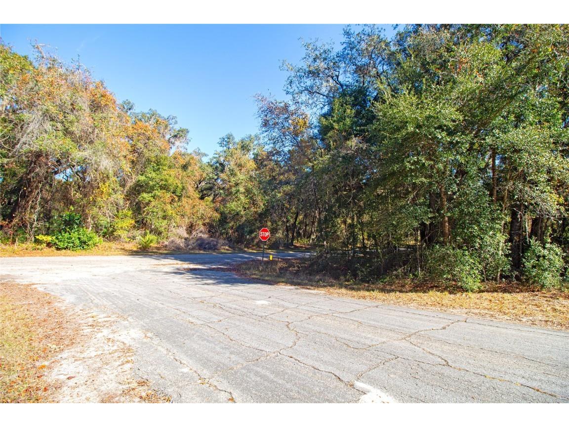 717 E Noah Lane Citrus Springs FL 34434 OK224727 image7