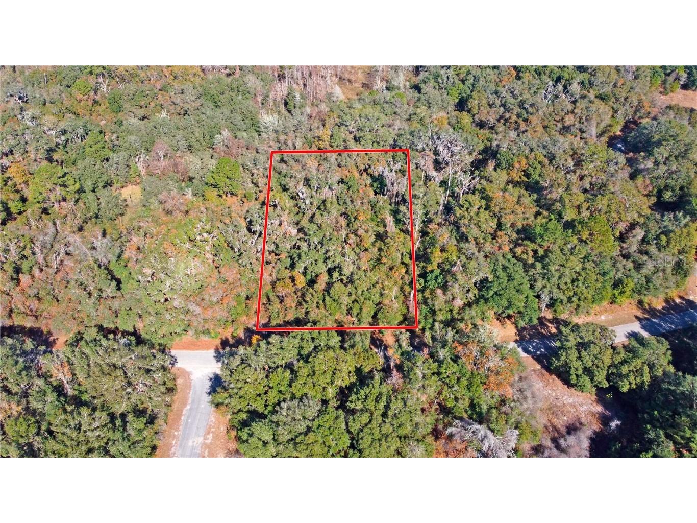 717 E Noah Lane Citrus Springs FL 34434 OK224727 image8