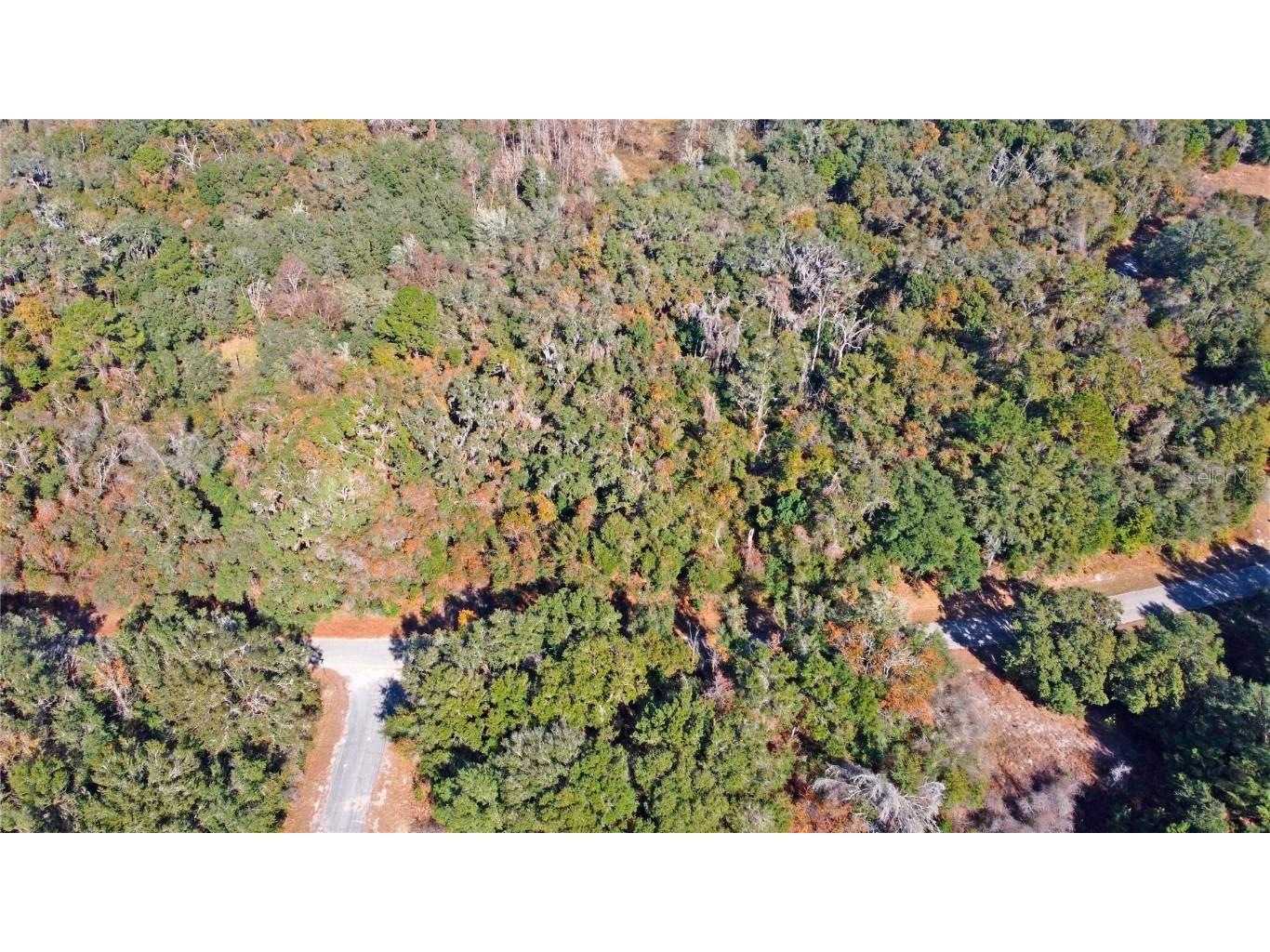 717 E Noah Lane Citrus Springs FL 34434 OK224727 image9