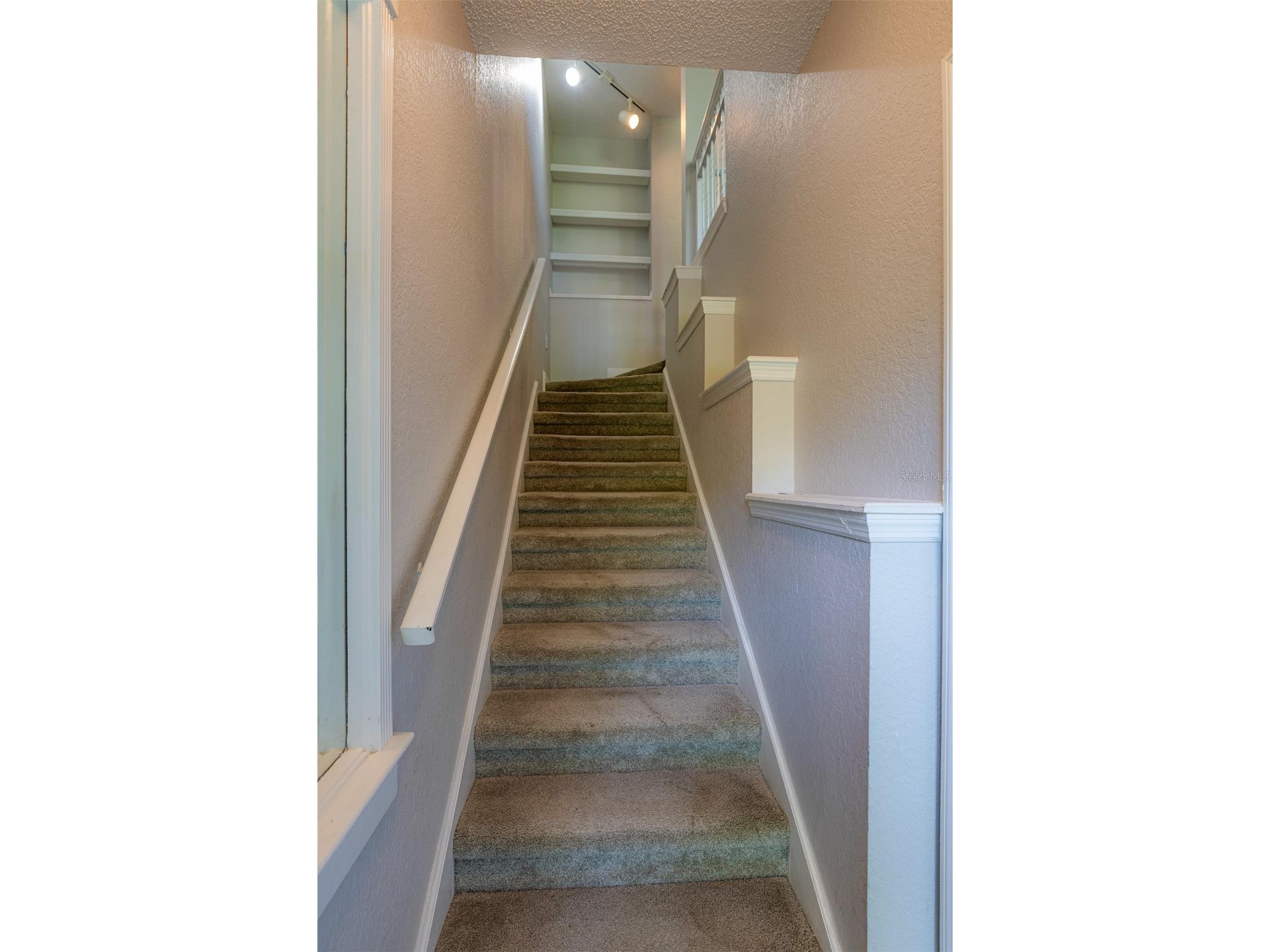 717 Mainsail Drive Tampa FL 33602 TB8489205 image3