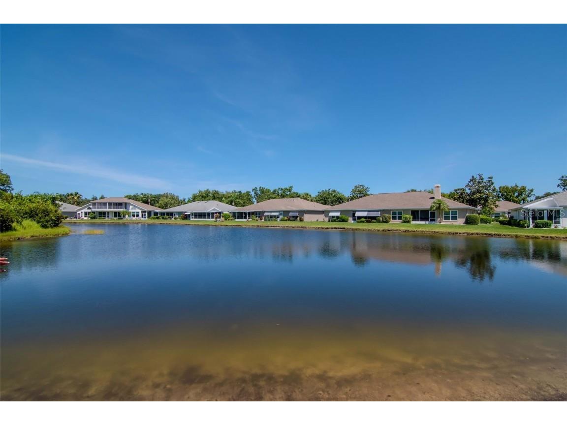 717 Manchester Woods Drive #717 Sun City Center FL 33573 TB8400577 image29