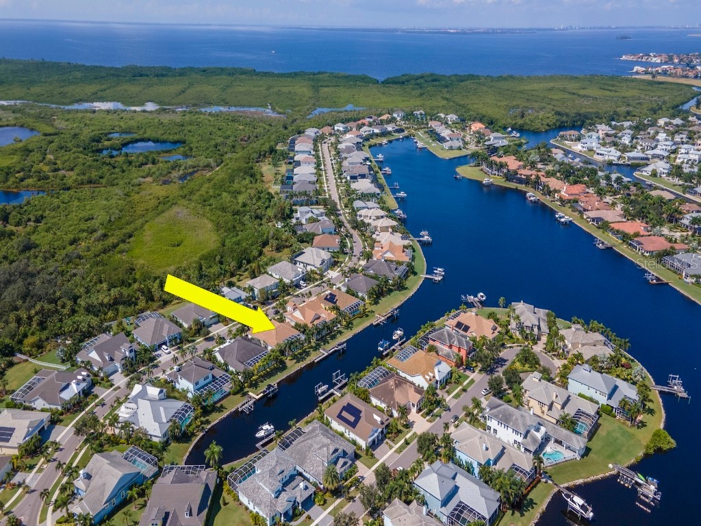 717 Manns Harbor Drive Apollo Beach FL 33572 TB8444369 image2