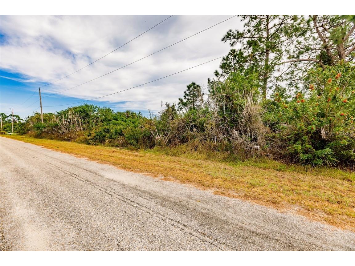 717 Naples Avenue S Lehigh Acres FL 33974 D6128280 image1