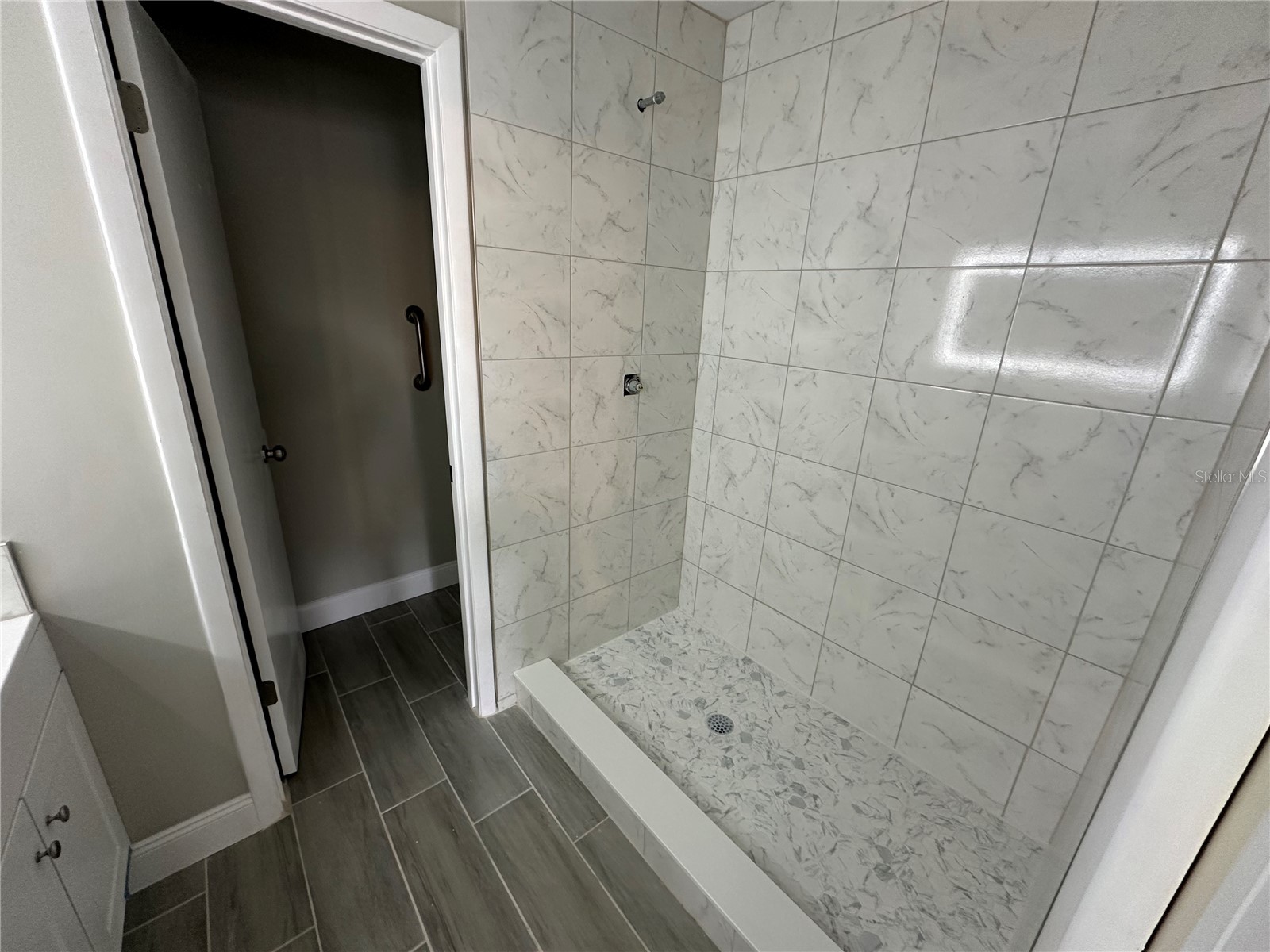 717 Oak Park Place Brandon FL 33511 TB8518501 image5
