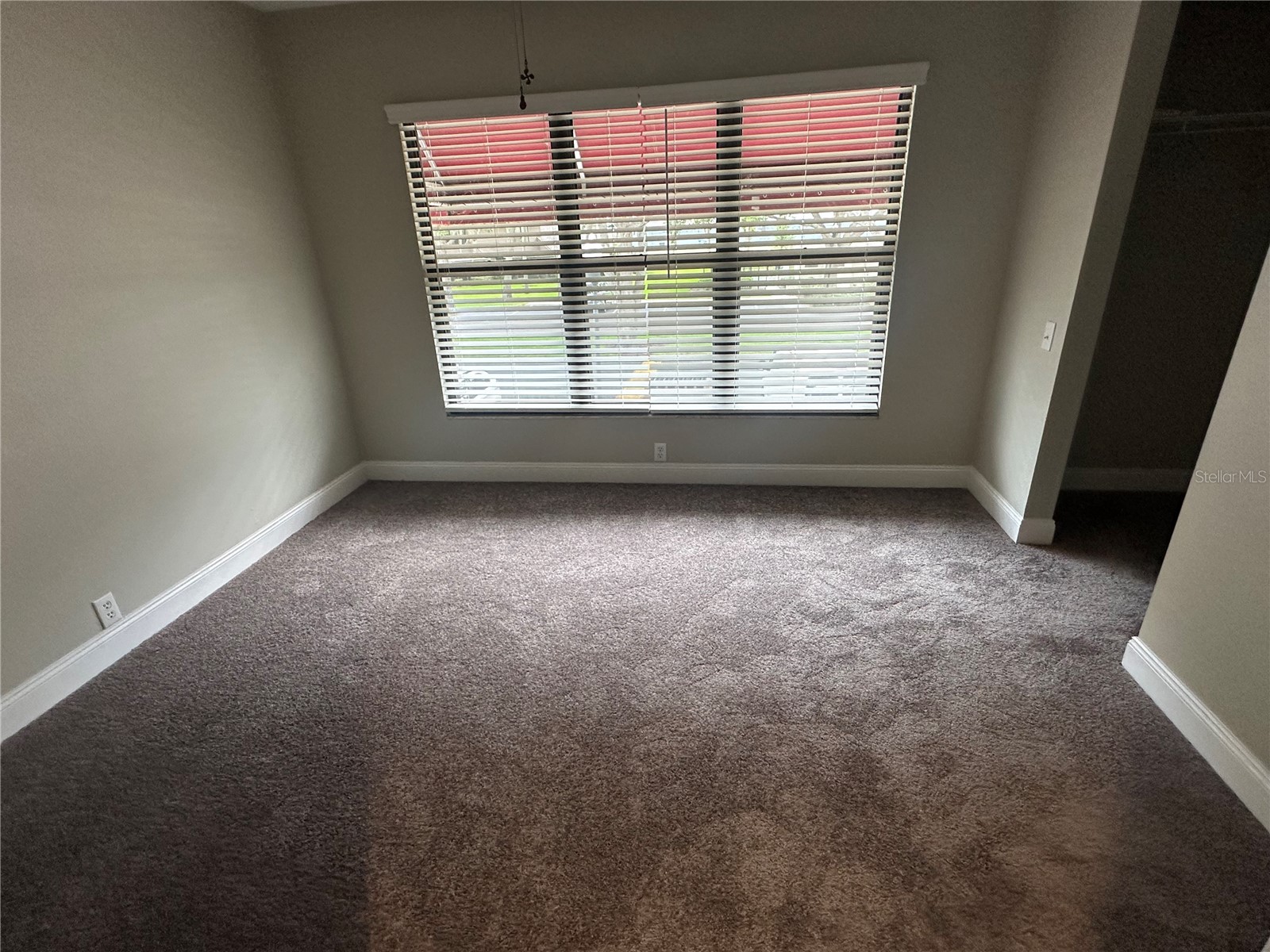 717 Oak Park Place Brandon FL 33511 TB8518501 image6