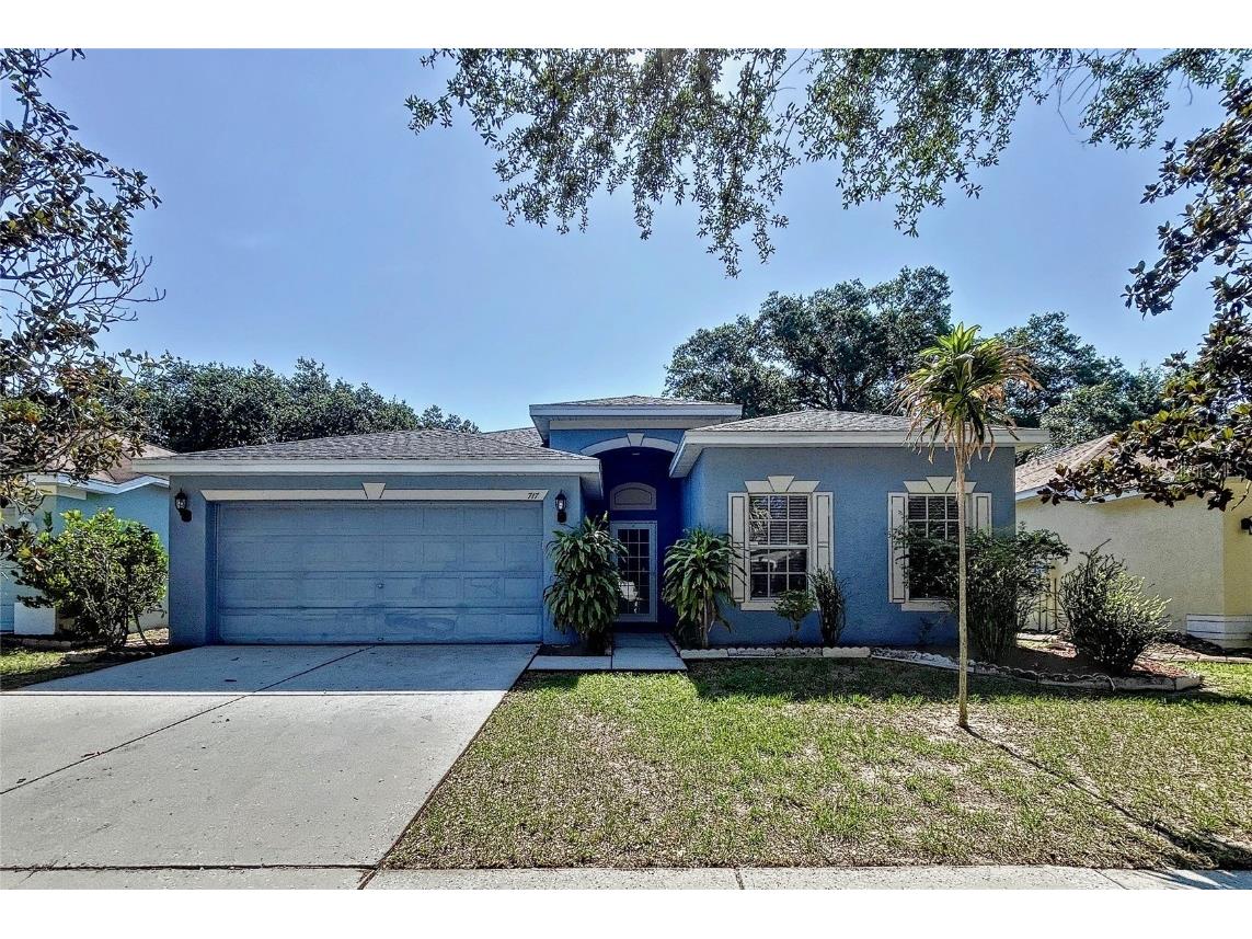 717 Parsons Pointe Street Seffner FL 33584 T3445340 image1