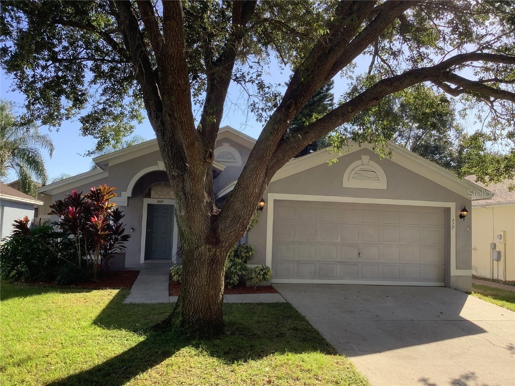 717 Sand Ridge Drive Valrico FL 33594 T3483229 image1