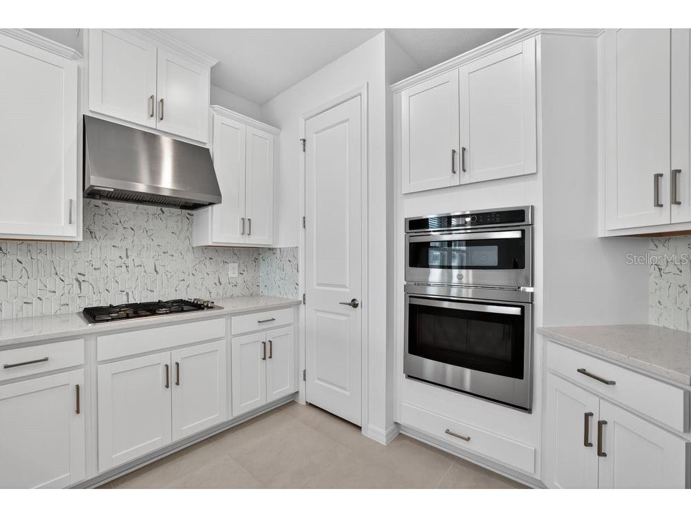 717 Steel Drive Apollo Beach FL 33572 TB8466962 image4