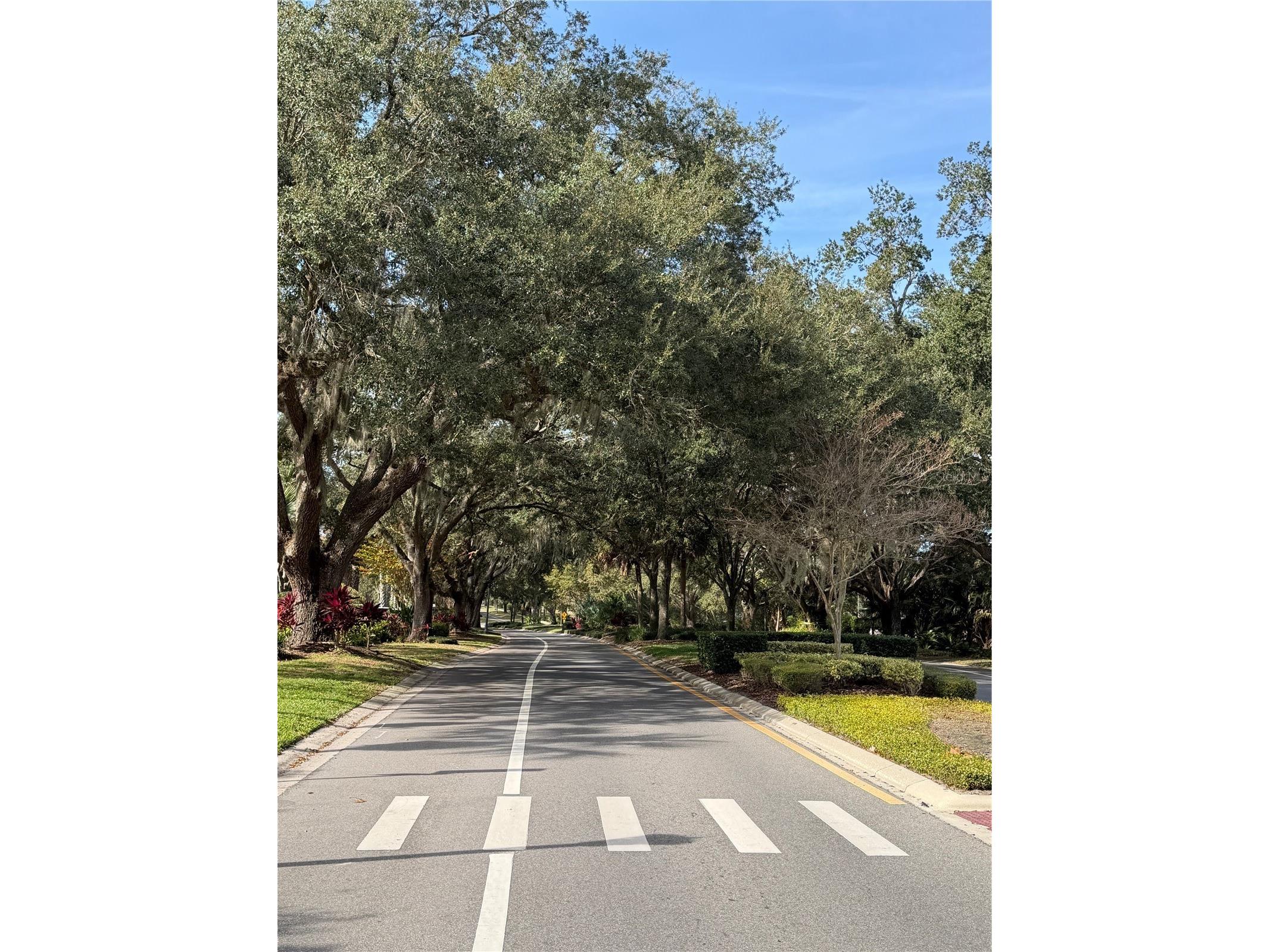 717 Wilson Road Winter Springs FL 32708 O6372938 image54