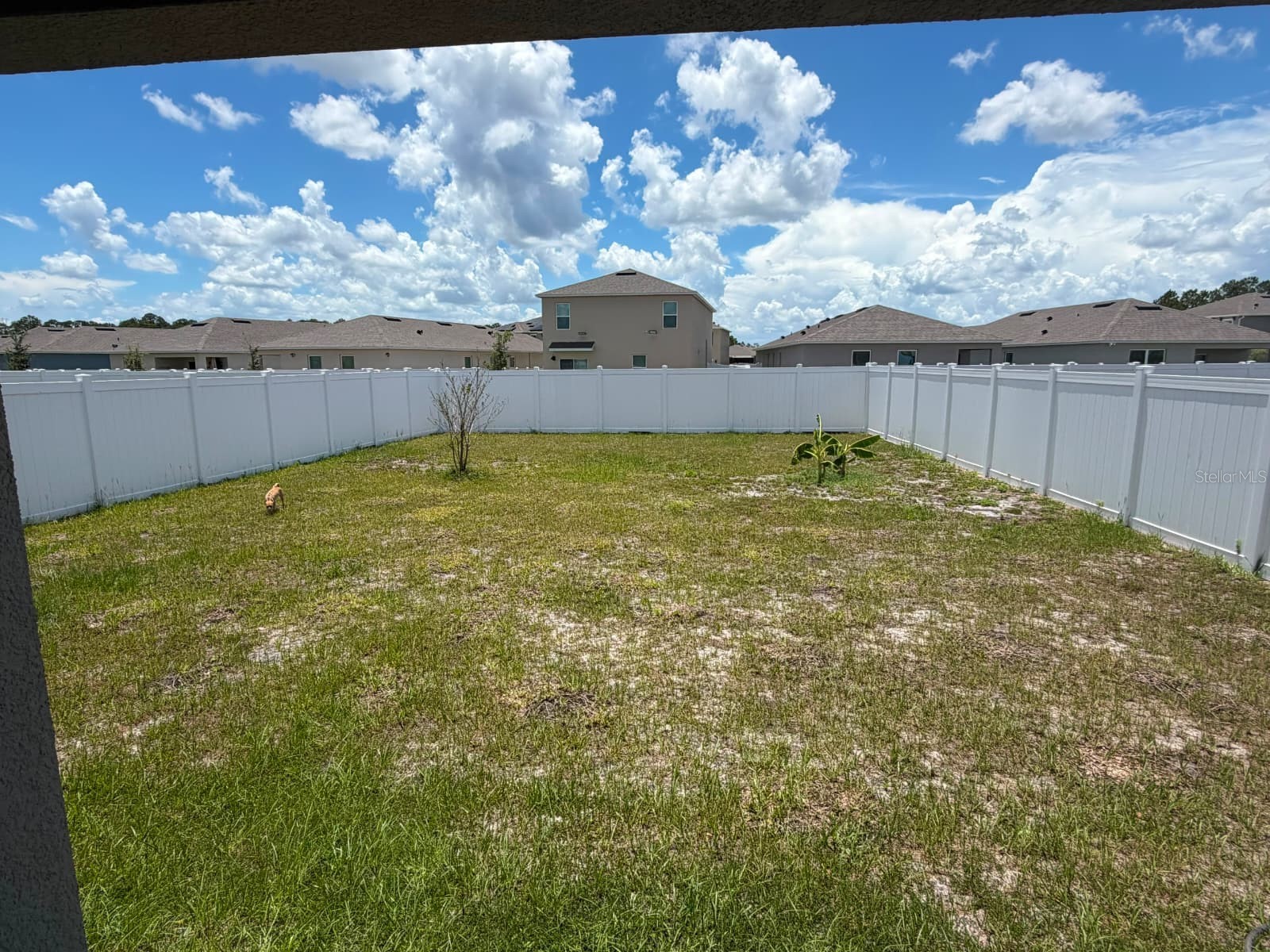 7171 Carib Grackle Drive Harmony FL 34773 O6419994 image17