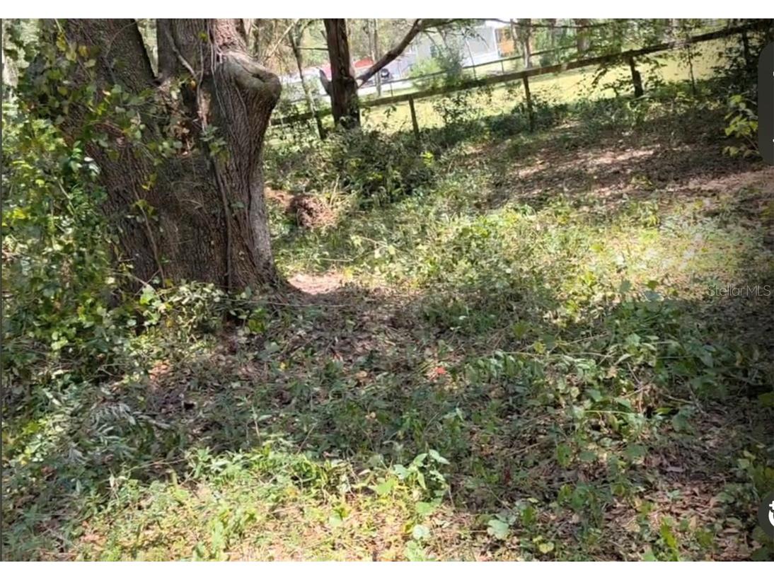 7171 NW 166th Street Trenton FL 32693 O6344990 image2