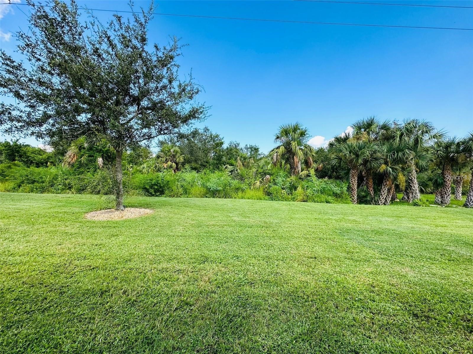 7172 Mikasa Drive Punta Gorda FL 33950 C7522382 image29