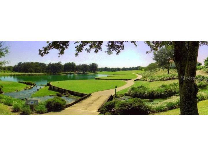 7172 Sherman Hills Boulevard Brooksville FL 34602 TB8513912 image15
