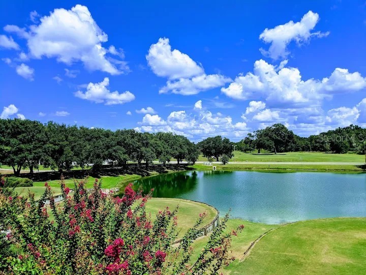7172 Sherman Hills Boulevard Brooksville FL 34602 TB8513912 image16