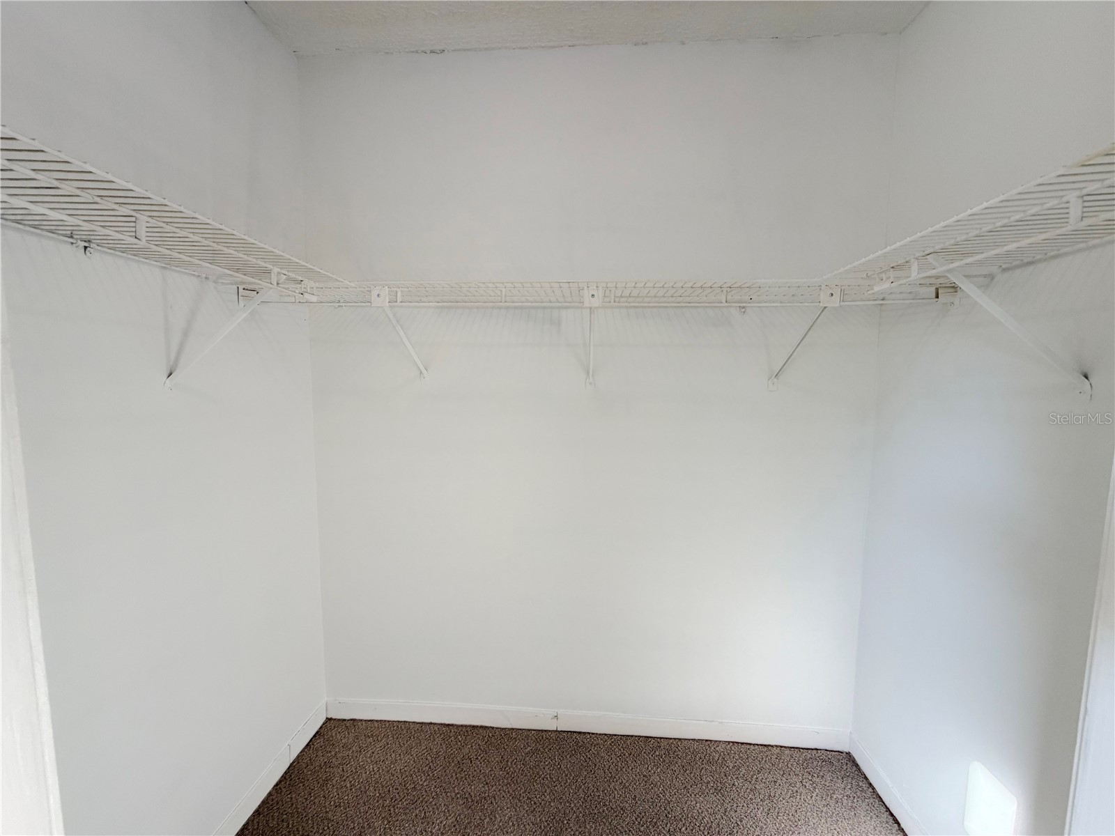 7172 Toucan Trail Spring Hill FL 34606 W7885956 image24